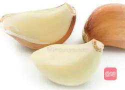 Illustration of Braised Pork Pancakes 4