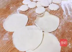 Illustration of how to make pork and garlic dumplings 9