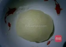 Xue Mei Niang's practice illustration 5