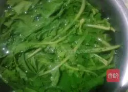 Illustration of how to make pure natural green radish sprouts steamed buns 6