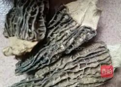 Illustration of original Cordyceps flower, yam, assorted seafood and mushroom soup 3