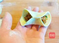 Xinwen Gourmet Style Steamed Dumplings Illustration 12