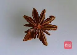 Illustration of how to make beef brisket soup 2