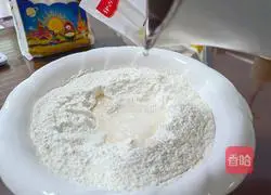 Illustration of how to make vegetarian dumplings with three fresh fillings 2