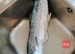 Bay Fish Meatball Soup Illustration of how to do it 1