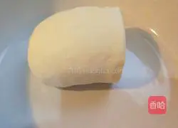 Illustration of how to make steamed dumplings with vegetables and shrimps with blooming flowers and four seasons 6