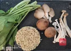 Illustration of how to make mushroom vegetable chicken noodle soup 1