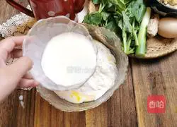 Illustration of how to make pork and coriander dumplings 2