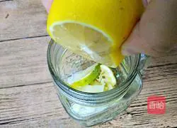 Watermelon Lemon Sparkling Drink Recipe Illustration 5