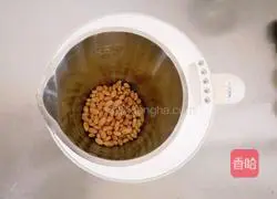 Illustration of how to make fragrant, smooth and delicate chrysanthemum and wolfberry soy milk 3