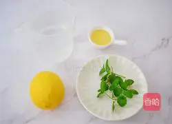 Lemon Mint Water Recipe Illustration 1