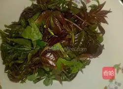 Illustration of how to make Chinese toon mixed with tofu 2