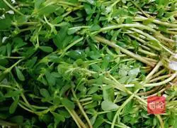 Illustration of how to make fragrant purslane vegetable cake 1