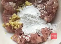 Tomato, Tofu and Meatball Soup Recipe Illustration 2