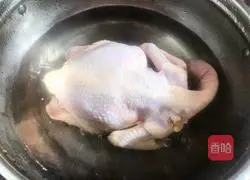 Illustration of three-yellow chicken stew 3