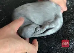 Illustration of how Zhu Bajie carries his wife on his back 5