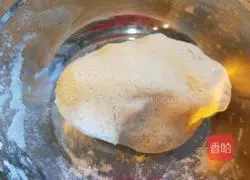 Xinwen Gourmet Style Steamed Dumplings Illustration 6