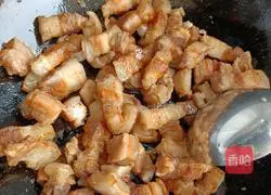 Braised Pork Recipe Illustration 5