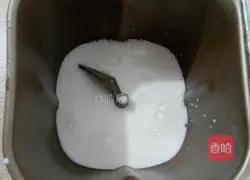 Illustration of steamed buns 1