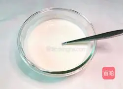 Yoghurt Papaya Cup Recipe Illustration 5