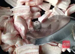 Illustration of salt-fried pork 5