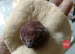 Illustration of how to make bean paste buns 4