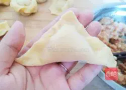 Illustration of how to make shrimp wontons 9