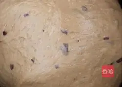 Illustration of how to make brown sugar and jujube steamed buns 4