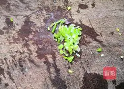 Illustration of how to make scallion pancake 5