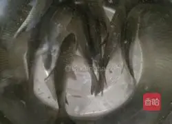 Illustration of cooking noodles with wild crucian carp soup 1