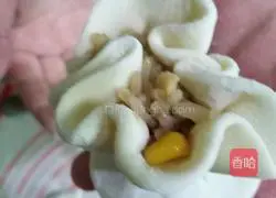 Illustration of how to make siomai 10