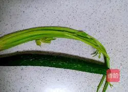 Illustration of how to make celery and cucumber juice 1