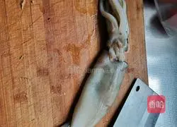 Warm Illustration of how to mix squid 1