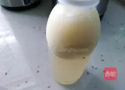 Illustration of how to make siomai 4