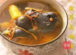 Cordyceps Black Chicken Soup Recipe Illustration 5