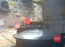 Sydney Medicinal Diet Illustration 3