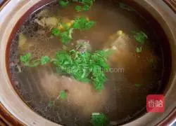 Carrot, Corn and Spare Ribs Soup Recipe Illustration 5