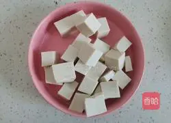 Illustration of Tomato Mushroom and Tofu Soup 4