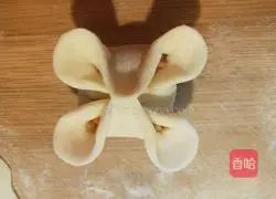 Xinwen Food Sixi Steamed Dumplings Illustration 12