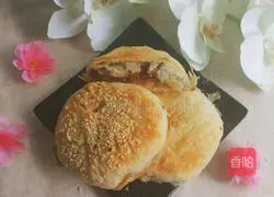 Sesame meatloaf recipe 11