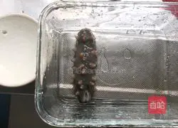 Illustration of how to make steamed sea cucumber eggs 1