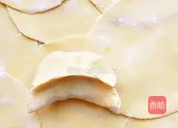 Illustration of how to make handmade dumplings 13