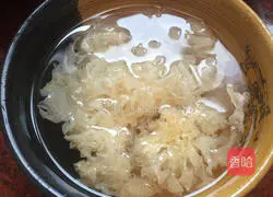 Illustration of Tremella and Sago Soup 2