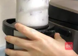 Watermelon Milkshake Recipe Illustration 5