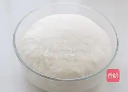 Milk bread rolls (Chinese seeding method) recipe 1