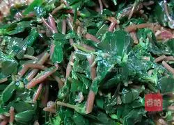 Wasbee Illustration of how to make vegetable and meat buns 6