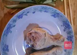 Illustration of shredded chicken legs 3