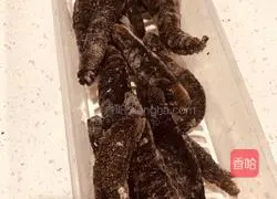 Illustration of how to make cold sea cucumber (3-minute breakfast) 1