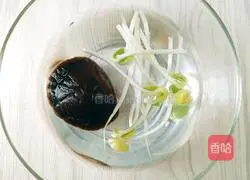 Slimming Recipe Treasure Winter Melon Soup to Supplement Minerals Illustration 3