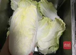 Illustration of how to make handmade dumplings 1